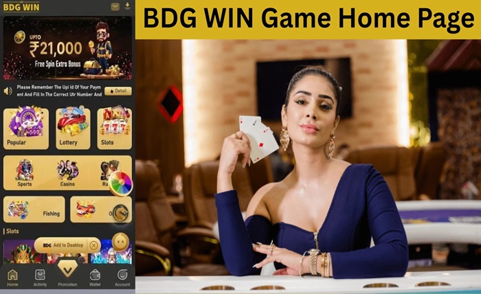 BDG Win